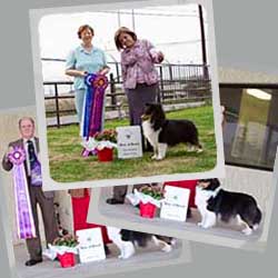 2013 Specialty Show Photos