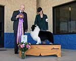 Best of Breed