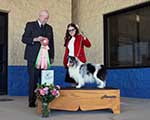 Best Junior Handler