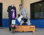 Reserve Winners Dog