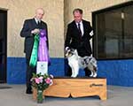 Winners Dog, Best Puppy in Classes