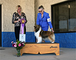 Best of Breed