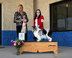 Best Junior Handler