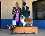 Winners Dog