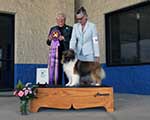 Best of Breed