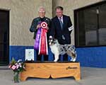 Best Opposite, Winners Dog