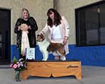 Best Puppy in Sweepstakes