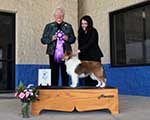 Reserve Winners Dog